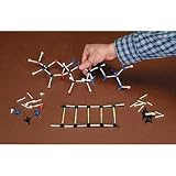Individual DNA and Molecular Model Kit