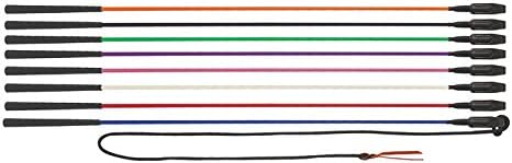 Direct Equine Training Whip with Popper