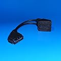 "AVE-A" Scart Skart Kabel Adapter Verteiler 1x Stecker m�nnlich auf 2x Buchse Kupplung weiblich 20cm 0,2m 0,2 m Meter