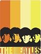 CharacterWorld Beatles Stripes...