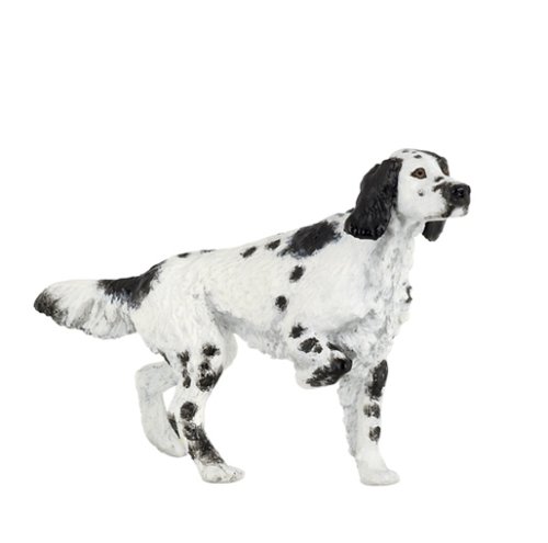 English Setter