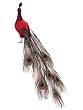 28" Regal Peacock Vibrant Red Exotic Closed Tail Bird Decoration