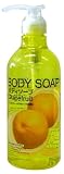 �{�f�B�\�[�v �O���[�v�t���[�c�̍��� 750ml