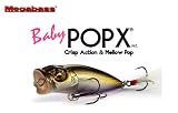 メガバス（Megabass） ベビーポップエックス （BABY POPX） TORA