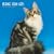 Maine Coon Cats 2009 Calendar