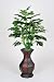 Artificial Split Philo in Rattan Planter