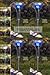 Tools & Hardware : TEKTRUM TWO-IN-ONE STAINLESS STEEL COLOR CHANGING SOLAR LIGHTS (Set of 4)