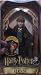 Harry Potter and the Sorcerer\'s Stone: Hogwarts Heroes, Ron