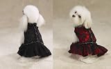 RED - X-SMALL - Lace Flamenco Dog Dress