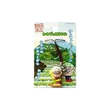 �Ų�����蘆�ӤβåȤ�����աʤ�����)
