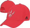 Toronto Raptors Basic Logo Wool Primary Adjustable Hat