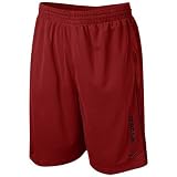 Nike South Carolina Gamecocks Garnet Million Dollar Mesh Shorts