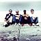 The Lightning Seeds