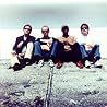 Image of The Lightning Seeds