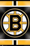 Boston Bruins (Logo) Sports Poster Print - 24" X 36"