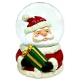 - Water Globe - Santa Face