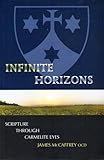 Infinite horizons : scripture through Carmelite eyes