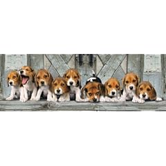 Clementoni 39076.2 - Puzzle Panorama Beagles 1000 teilig