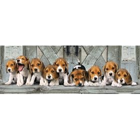 Clementoni - 390762 - Puzzle - Beagles - Panorama - 1000 pi�ces