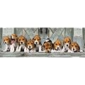 Clementoni - 390762 - Puzzle - Beagles - Panorama - 1000 pi�ces