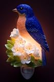 Flowers Night Lights Bluebird on Cherry Blossom
