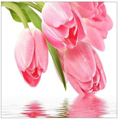Creative Modern Art Giclee Canvas Print Pink Tulip Flower Prints On Canvas 12" x 12" Inch, Stretched and Framed Home Decor Wall Living room Office Canvas Art Wall