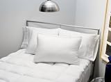 Royal Velvet Big and Soft Pillow