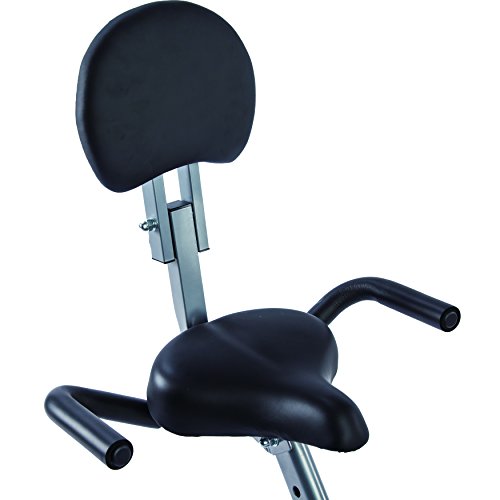 Sunny Health & Fitness Folding Recumbent Bike