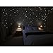 Wandkings® Wall Stickers A Night Lit Up with 250 Hearts Glow-in-The-Dark
