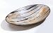 Striped Horn Shaman Smudge Bowl - Water Buffalo Horn From India