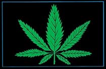 Pot Leaf (Green) Flocked Blacklight Poster Print - 24" X 36"