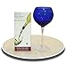 Glacier du Vin Wine Chiller Aerator and Pourer