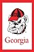 University of Georgia Bulldogs Flag - Regular Size