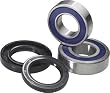 All Balls Racing - Wheel Bearing Kit 25-1007
