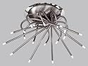 Deckenleuchte Octo 20