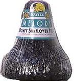 KAYTEE PRODUCTS 100033837 SUNFLOWER TREAT BELL BIRDSEED 10 OZ (PACK OF 11)