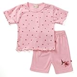 FIXONItĕ100%sNt[TVcƃn[tpc̃Zbg 80cm