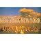 Learn about New York City