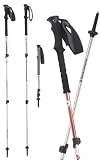 Trail Trekking Pole by Black Diamond