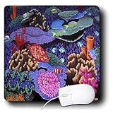 Steve Shachter Art - COLORFUL FISH - Mouse Pads