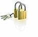 Travel Smart Conair Mini Brass Padlocks, 2 Pack