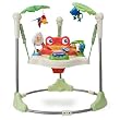 Fisher-Price Rainforest Jumperoo from Fisher-Price