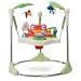 FisherPrice Rainforest