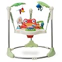 Rainforest Jumperoo