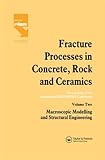 Fracture processes in concrete, rock and ceramics