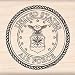 Inkadinkado Rubber Stamp-Air Force Insignia