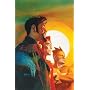 The Starman Omnibus Vol. 6