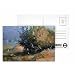 Apple Bush with Fence (oil on canvas) by Gail Schulman - Postcard (Pack of 8) - 6x4 inch - Art247 Highest Quality - Standard Size - Pack Of 8