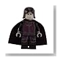Professor Severus Snape with Black Cape