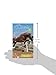 Bold Beauty (Winnie the Horse Gentler #3)